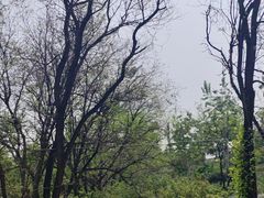 -太阳宫公园