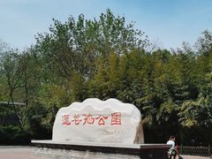 -莲花池公园