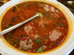 -柴窝堡22号辣子鸡·传承新疆菜