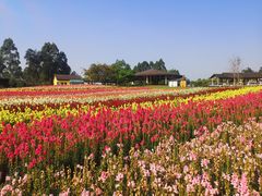 -保利石象湖景区