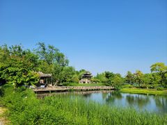 -尚湖风景区