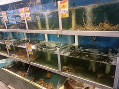 -鑫悦楼煎蟹·16年海鲜大排档