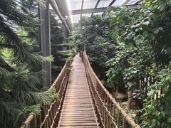 -呀路古热带植物园