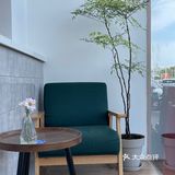 黑咖啡+巴斯克 ☕️🍰最佳“cp”组合