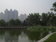 -望湖公园