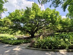 -晓港公园