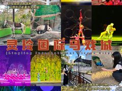 -灵玲国际马戏城