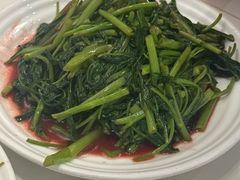 -海金滋(陕西南路店)
