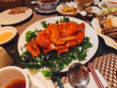 -金燕岛潮州酒楼