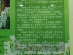 -LILY英语思维馆(玉泉路店)