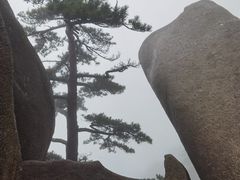 -天柱山风景区