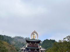 -庐山风景名胜区-东林大佛