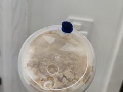 -茶百道(师大花园店)