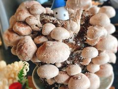 活体菌菇-捞王锅物料理(上海世茂广场店)