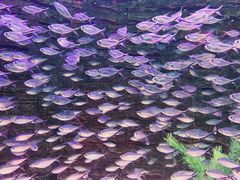 -长春中泰海洋世界