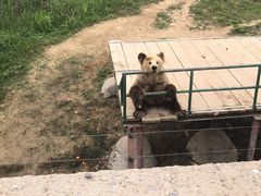 -宿豫区运河湾森林动物园