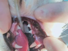 -芭比堂动物医院·犬猫全科·异宠专科(雁塔分院)
