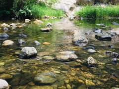 -碓臼峪自然风景区