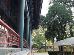-国家图书馆·古籍馆