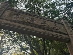 -草庵摩尼教遗址公园