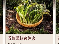 香格里拉莴笋尖-巴奴毛肚火锅(京西大悦城店)