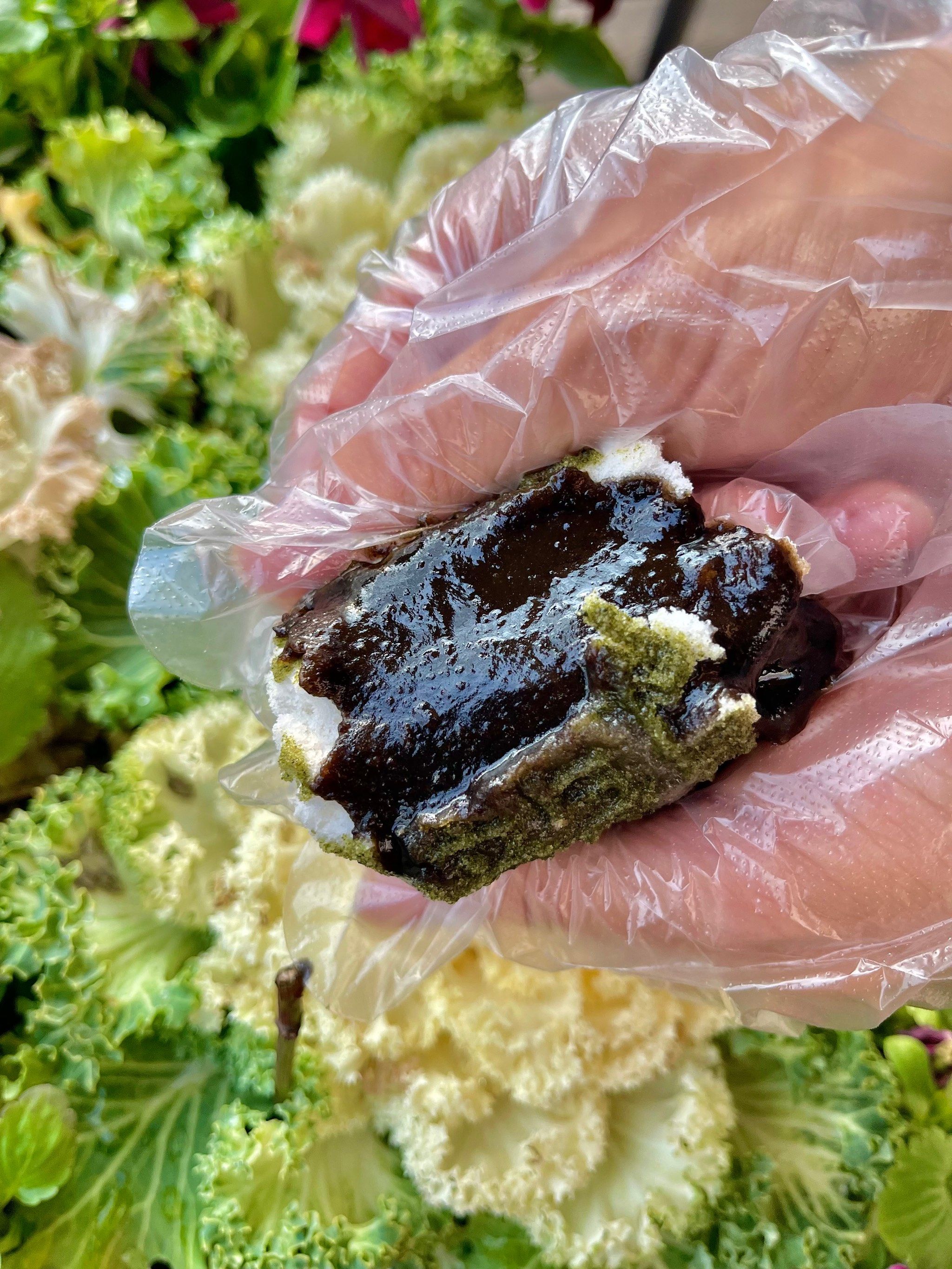 南方小土豆08过年06带回阮大兴糕团