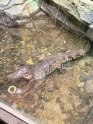 -Zoolung Zoolung动物主题公园(海信广场店)