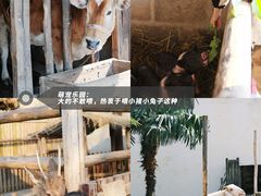 -乌村