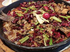 -老板恋上鱼(恒隆广场店)