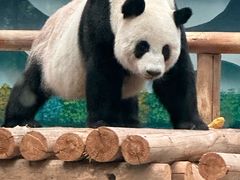 -柳州市动物园