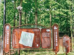 -东平国家森林公园