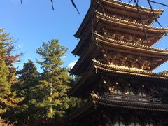 -醍醐寺