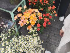 -循礼门鲜花花市(武汉循礼门店)