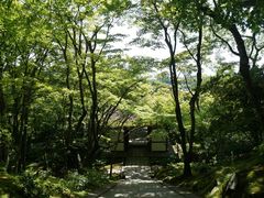 -常寂光寺