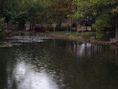 -月湖风景区
