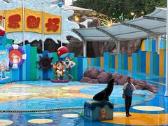 -海合安成都极地海洋公园