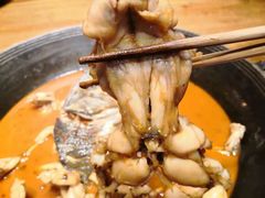 -老天桥蛙炉火锅(昆山直营店)