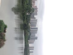 -大亚湾红树林城市湿地公园