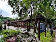 -重庆彩云湖湿地公园