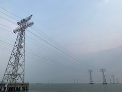 -宝安西湾红树林湿地公园