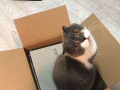 -大连市皮肤病医院