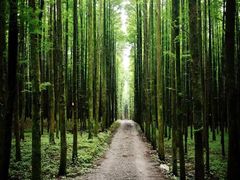 -山王坪喀斯特国家生态公园