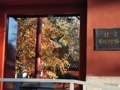 -北京艺术博物馆(万寿寺)