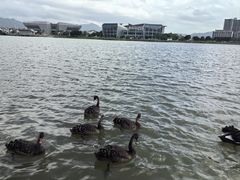 -琅岐红光湖公园