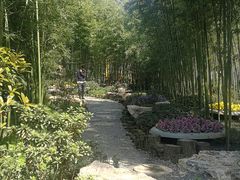 -荆川公园