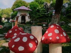 -上海鲜花港