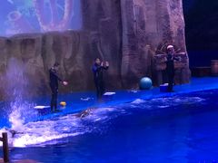 -华夏文旅海洋公园