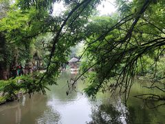 -水绘园