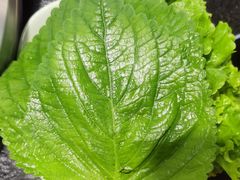 -盛江山自助料理(奥莱锦辉购物广场店)