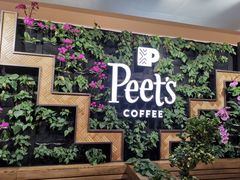 -Peet's Coffee皮爷咖啡(豫园店)